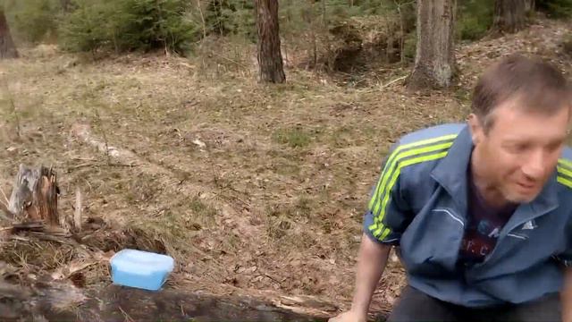 Нашли и едим просроченное пюре ))). Гуляем по брянскому лесу. Щенки, собачки и всё такое ))) смотреть онлайн