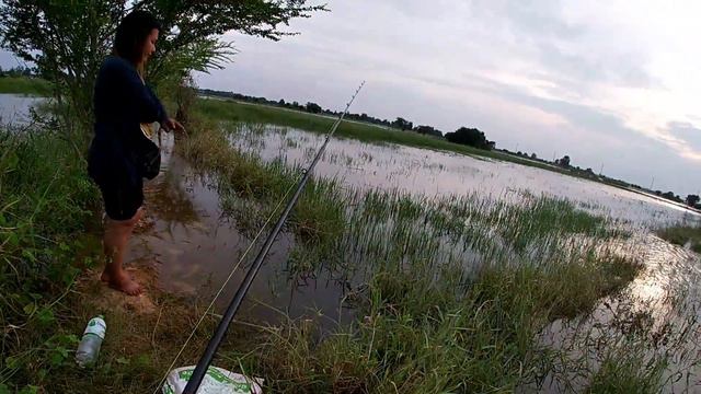ថ្ងៃនេះនាំមេមកស្ទូចជាមួយម្តងអោយរាង смотреть онлайн