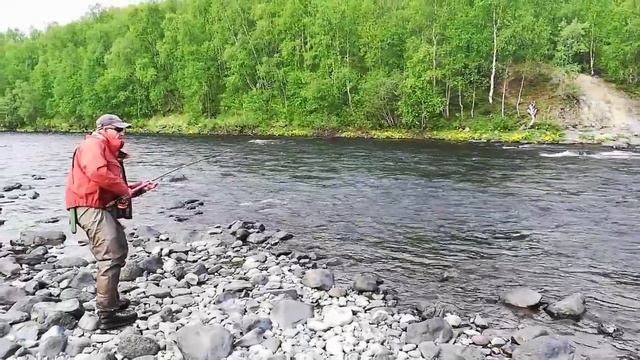 СЁМГА 9 кг.КОЛЬСКИЙ река ПЕЧЕНГА 2018