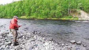 СЁМГА 9 кг.КОЛЬСКИЙ река ПЕЧЕНГА 2018