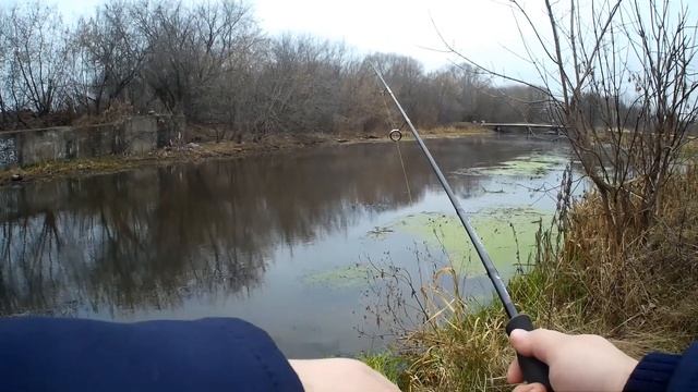 р. Пехорка. Ловля Щуки на спиннинг, рыбалка в декабре смотреть онлайн