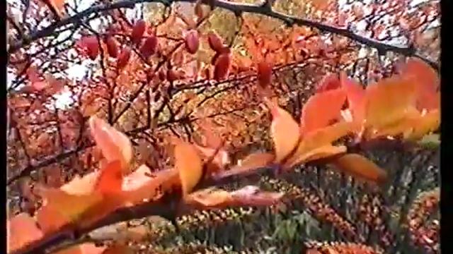 Жан Татлян 2001.mpg смотреть онлайн