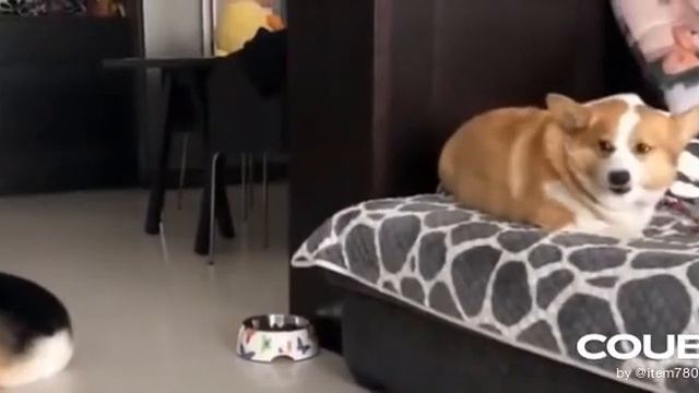 Да пошел ты смотреть онлайн