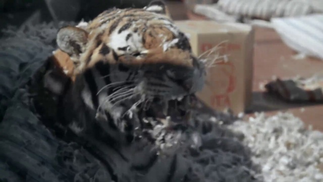 07.Шулейкин смотреть онлайн