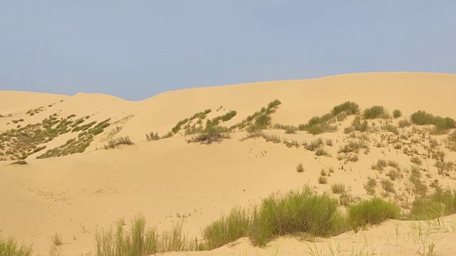 Бархан Сарыкум в Дагестане смотреть онлайн