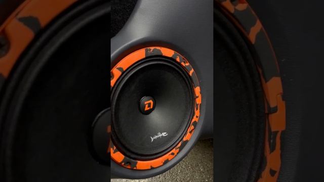 Обзор динамиков DL Audio Barracuda 165 mm смотреть онлайн