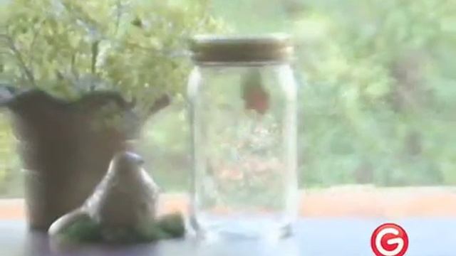 Бабочка в банке - необычный подарок смотреть онлайн