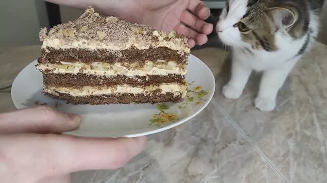 Быстрый и вкусный Торт из покупных бисквитных коржей с вареной сгущенкой.mp4 смотреть онлайн