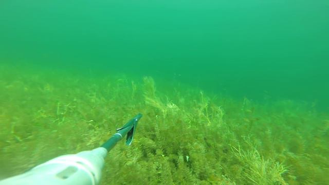 Охота на щуку в Туве (Тыве). Тоджа. крокодилы тувы смотреть онлайн