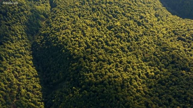 Музыка лечит сердце и сосуды? Успокаивающая музыка восстанавливает нервную систему,расслабляющая #3 смотреть онлайн