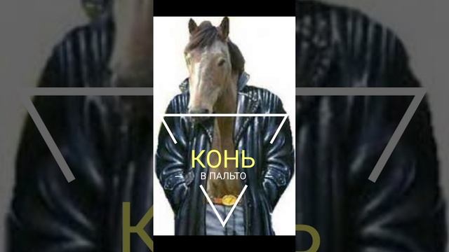 Наталья Рамирес обуздала коня в пальто смотреть онлайн