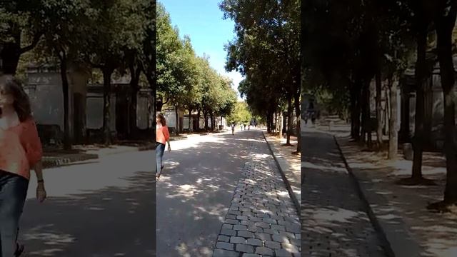 Buscando la Tumba de Jim Morrison. Paris. 17 de Agosto 2022. смотреть онлайн