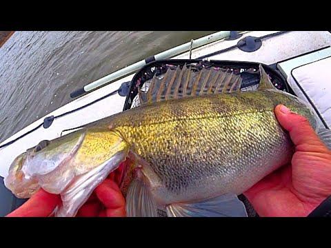 ВОТ ЭТО ОТВËЛ ДУШУ! ВОТ ЭТО РЫБАЛКА! смотреть онлайн