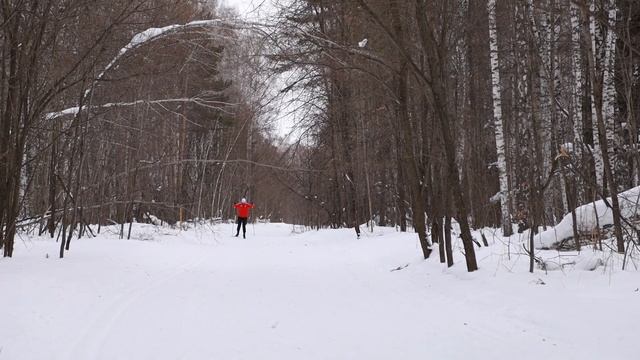 ТЕХНИКА КОНЬКОВОГО ХОДА. Собственный анализ. смотреть онлайн
