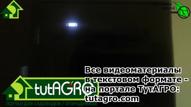 ЧТО БУДЕТ, если кипятить воду в закрытой банке с металлической крышкой в микроволновке? А ВОТ ЧТО! смотреть онлайн