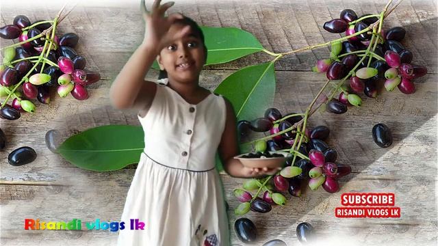 black plum (syzygium cumini ) смотреть онлайн