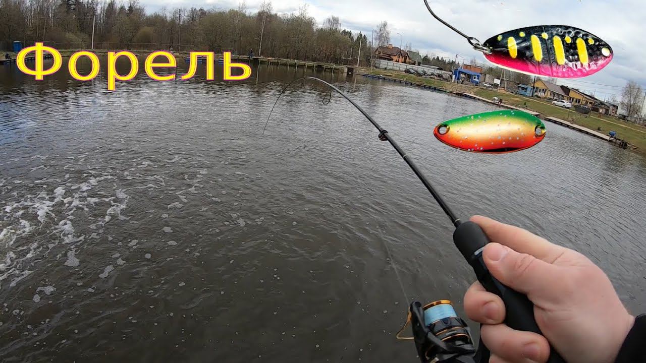 Ловля форели. Пруд Пионерский Селятино. смотреть онлайн