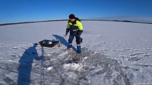 ЗИМНЯЯ РЫБАЛКА В КАРЕЛИИ НА НАЛИМА.