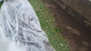 Теплая грядка - пошаговая инструкция.