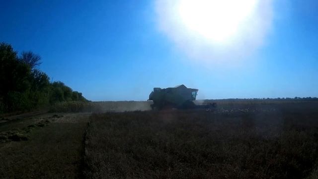 Сбор урожая люцерны / Harvesting Alfalfa 2017 CLAAS Tucano 470 смотреть онлайн