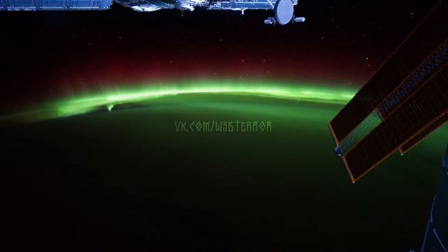 WEBTERROR #40 смотреть онлайн
