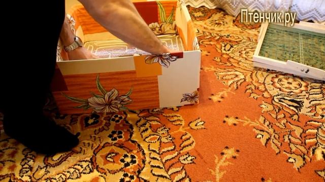 Видео инструкция по сборке и эксплуатации инкубатора Пушок смотреть онлайн