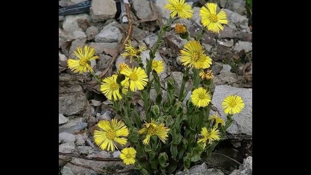 давайте восклицать смотреть онлайн