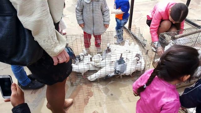 101-я годовщина Геноцида армян со стороны Османской Турции 24.04.16 Волгоград смотреть онлайн