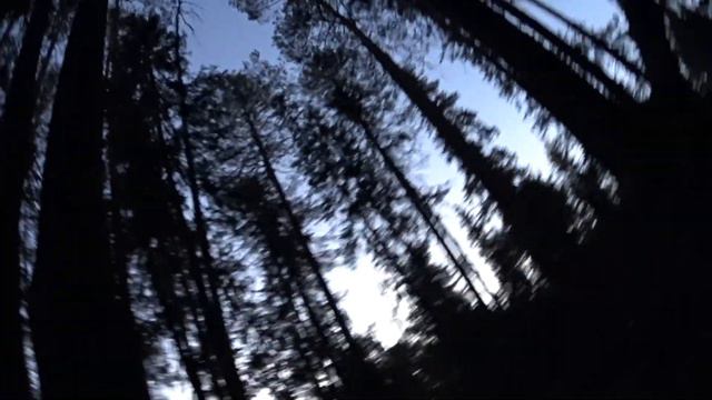 архив. весна-17 год.по реке в избушку. глухариный ток. смотреть онлайн