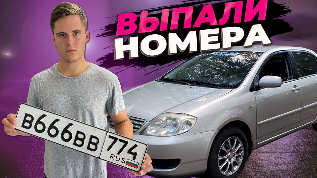 Выпали блатные гос.номера БЕСПЛАТНО. Перевес гос.номеров в ГИБДД #toyotacorolla #госномера