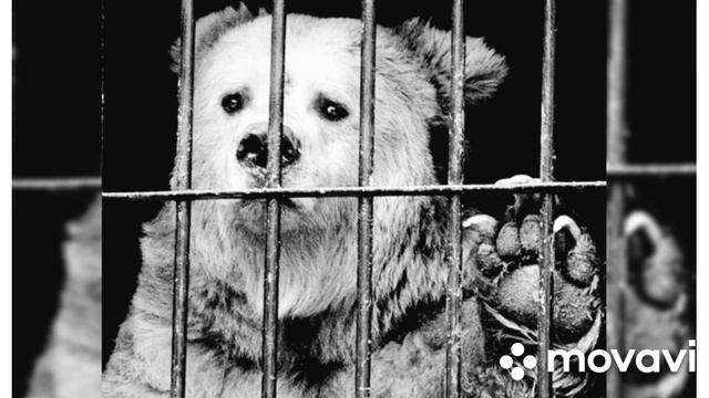 Эдуард Асадов "Пока мы живы, можно все исправить...". ЧАСЫ ЖИЗНИ смотреть онлайн