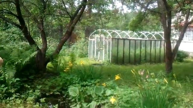 Дача подруги смотреть онлайн