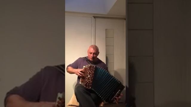 Виновата- ли я.....( гармонь) смотреть онлайн
