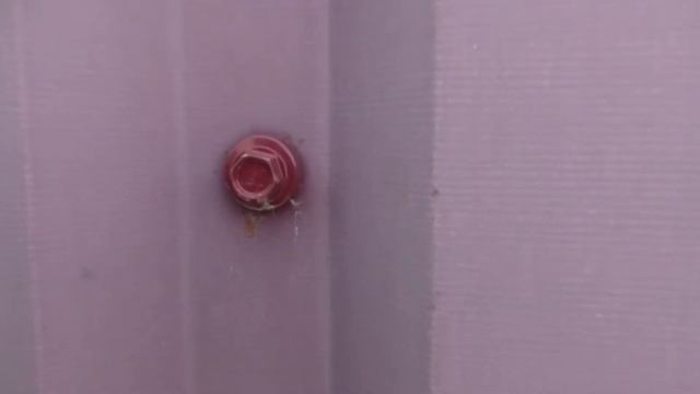Что будет с забором, если купить некачественный профнастил? смотреть онлайн