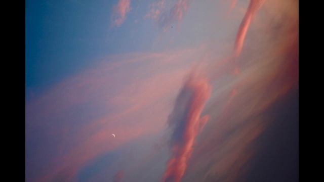 Eclipse Oct 2023 Energy and oracle card reading смотреть онлайн