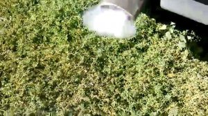 Ауди 80 B3 2.0 KE-Motronic трясёт двигатель,троит,детонирует