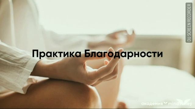 Практика Благодарности смотреть онлайн