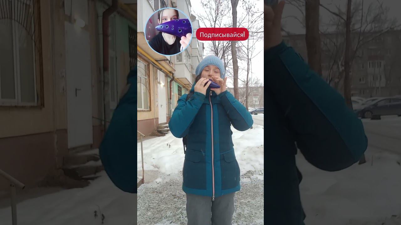 может знает лес смотреть онлайн