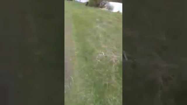 пруд Сухой 2 Пензенская обл 5 смотреть онлайн