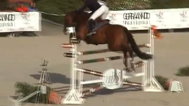 ♥ Native d'Elle- jumping horse by Cook du Midour смотреть онлайн