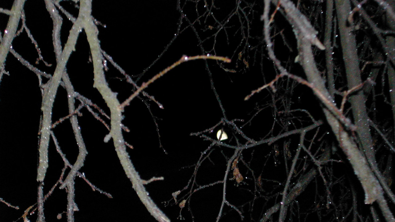 Иеромонах Роман. «Снится мне одно и то же...» смотреть онлайн