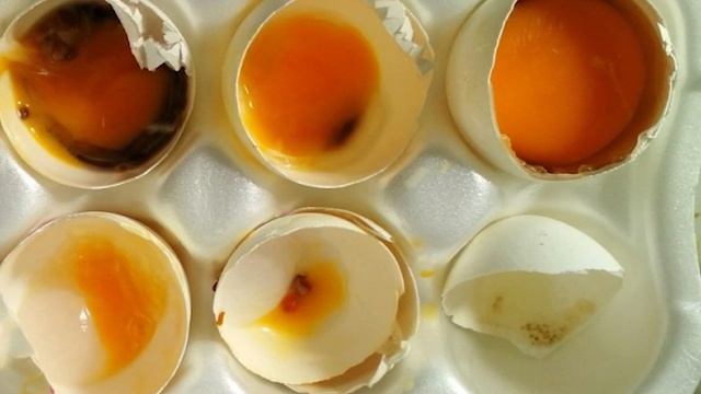 Так ли безопасно хранить яйца на дверце холодильника? Где лучше хранить яйца. смотреть онлайн