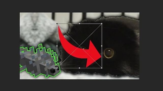 I Challenged Ludwig's Editor to a Photoshop Duel смотреть онлайн