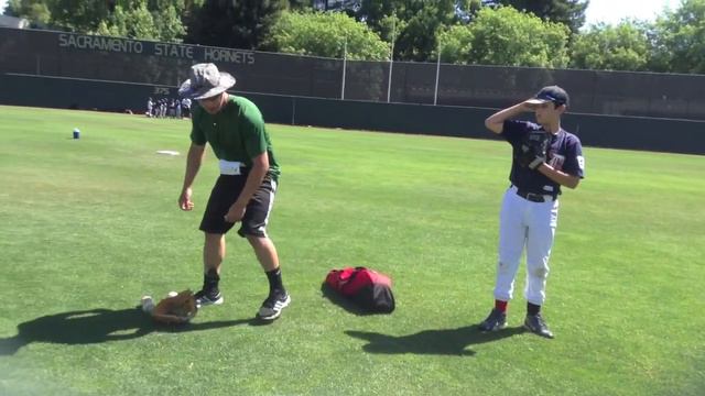 will soto baseball coach смотреть онлайн