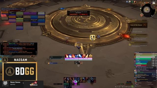 Inexperienced PUG Tank POPS OFF In My Key! [Pugging Week 1] смотреть онлайн