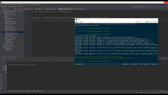 Python Selenium Webdriver Manager смотреть онлайн