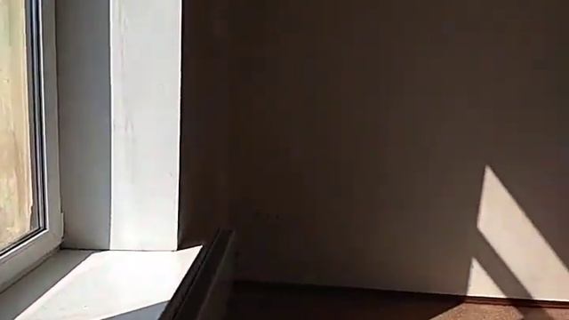 Офис 26,6 м2 этаж 3 в аренду от собственника смотреть онлайн