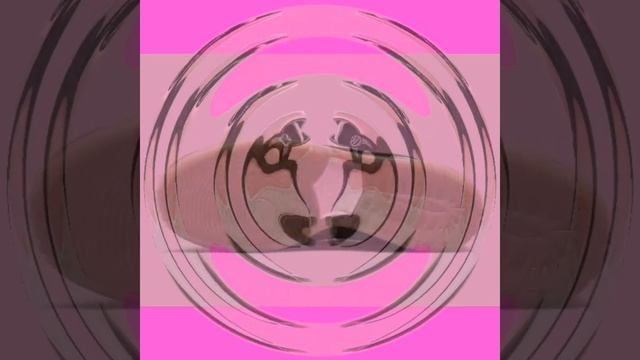 KCDC x Nike SB Dunk High смотреть онлайн