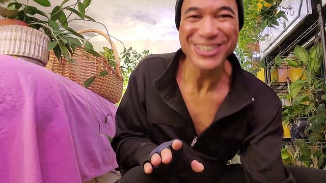 UpdateMas With Carlos #plantdad #plantcare #plantupdate #hoyacarnosa #hoyaplants #scindapsus #plant смотреть онлайн