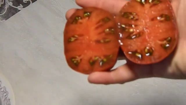 Томат Малиново красный гном. Спелые томаты. смотреть онлайн